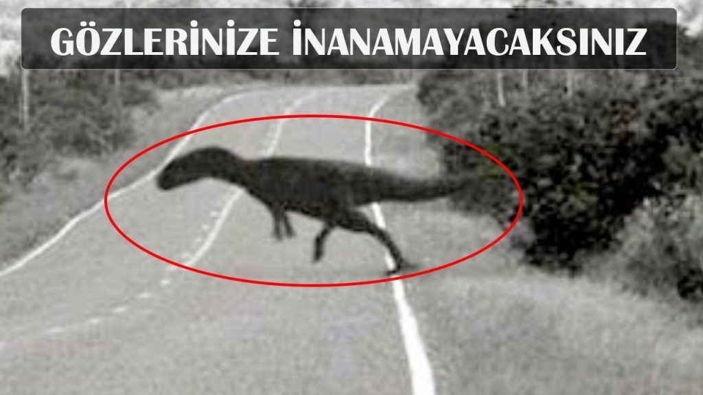 Dinozorlar Yaşıyor: Ruslar'ın Gizli Jurassic Parkı