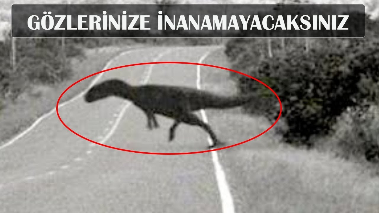 Dinozorlar Yaşıyor: Ruslar'ın Gizli Jurassic Parkı
