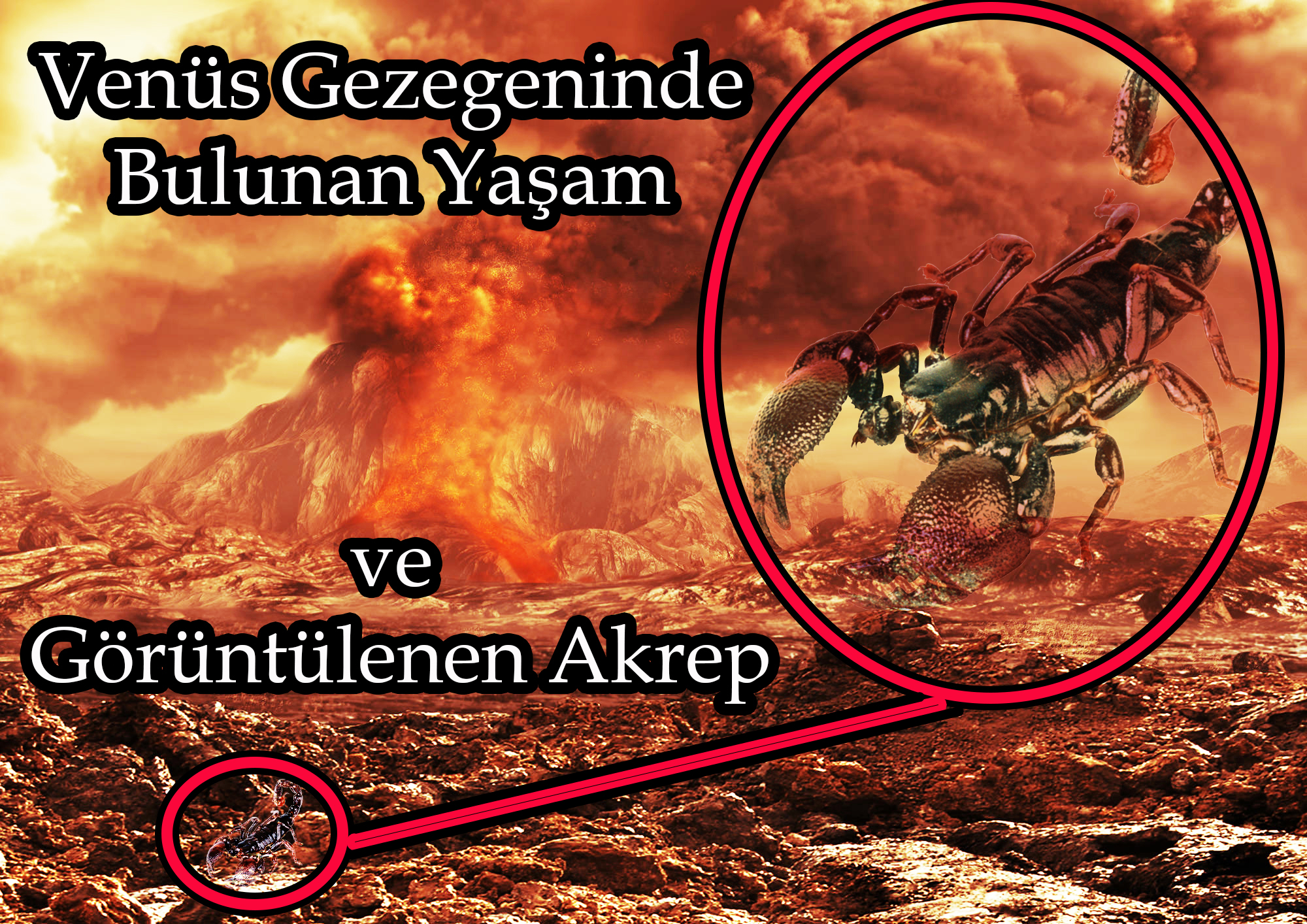 Venüs Gezegeninde Bulunan Yaşam ve Görüntülenen Akrep