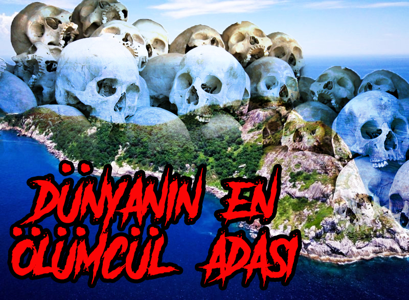 Dünyanın En Ölümcül Adası - Ilha de Queimada Grande