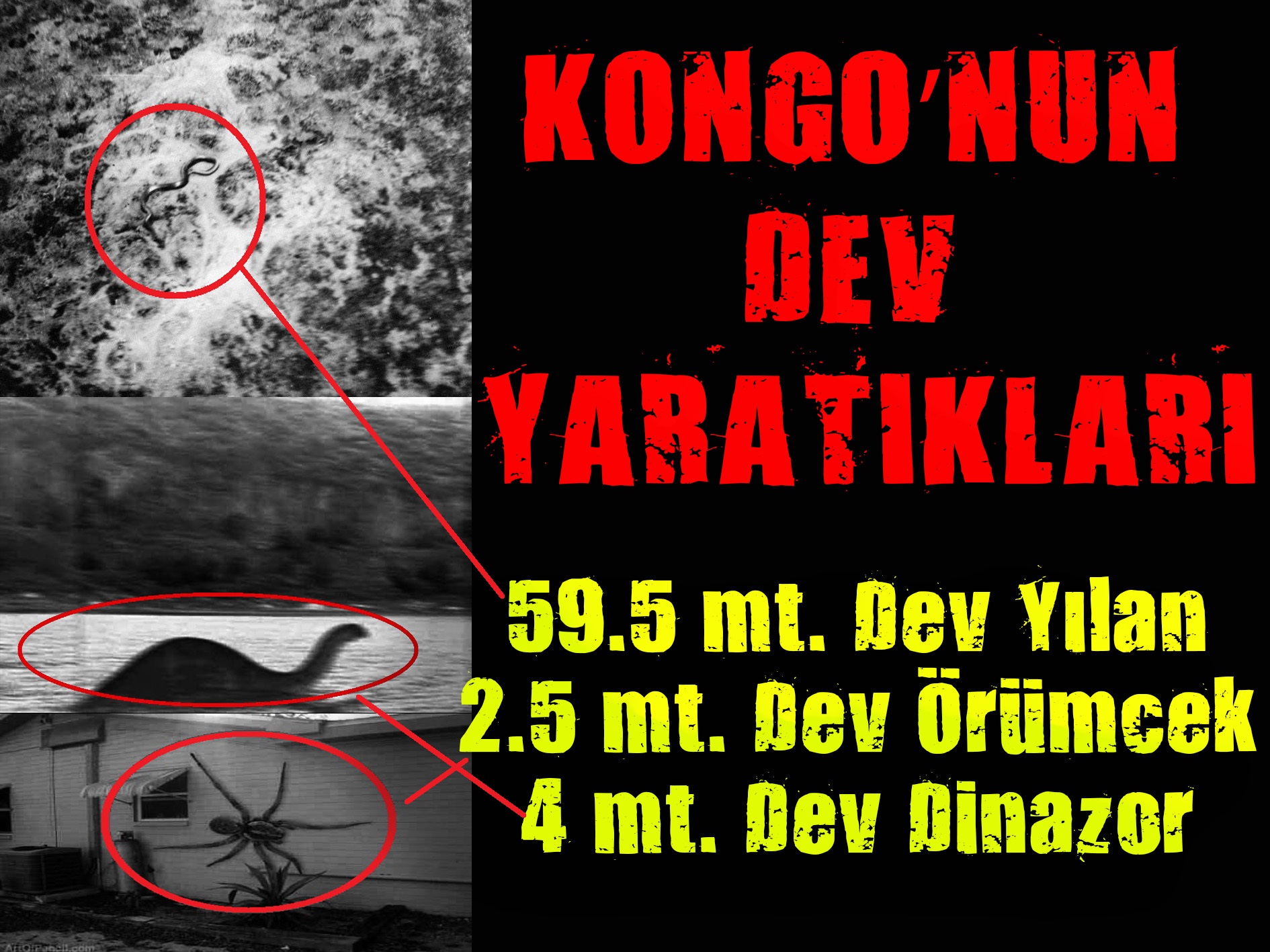 KONGO’NUN DEV YARATIKLARI