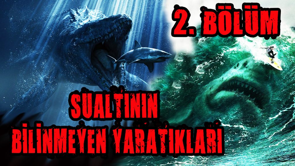 SUALTININ BİLİNMEYEN YARATIKLARI - 2. BÖLÜM