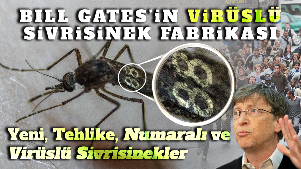 Bill Gates’in Virüslü Sivrisinek Fabrikası
