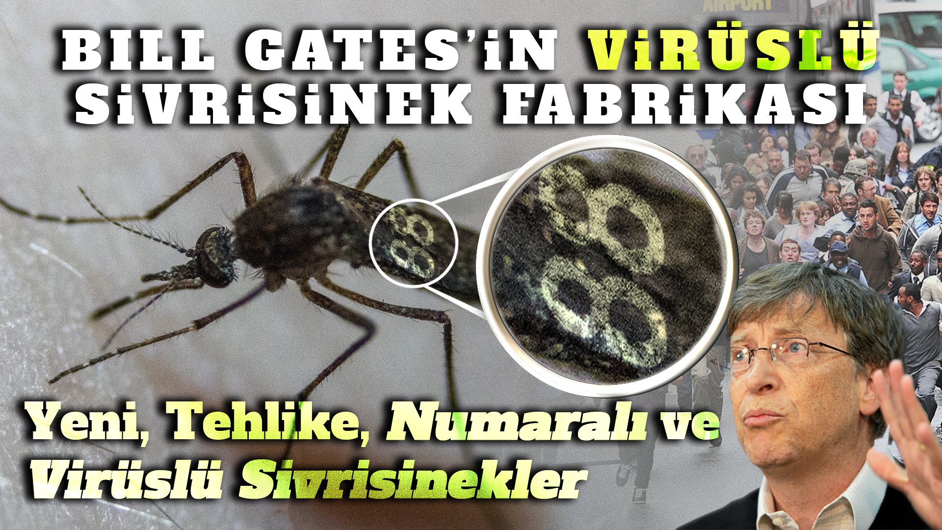Bill Gates’in Virüslü Sivrisinek Fabrikası