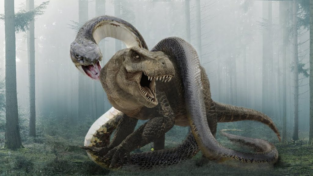 Dev Yılan Titanoboa